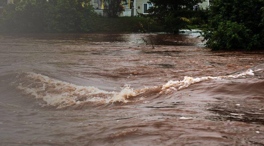 Why choose RestoreEase for water damage restoration in Danbury